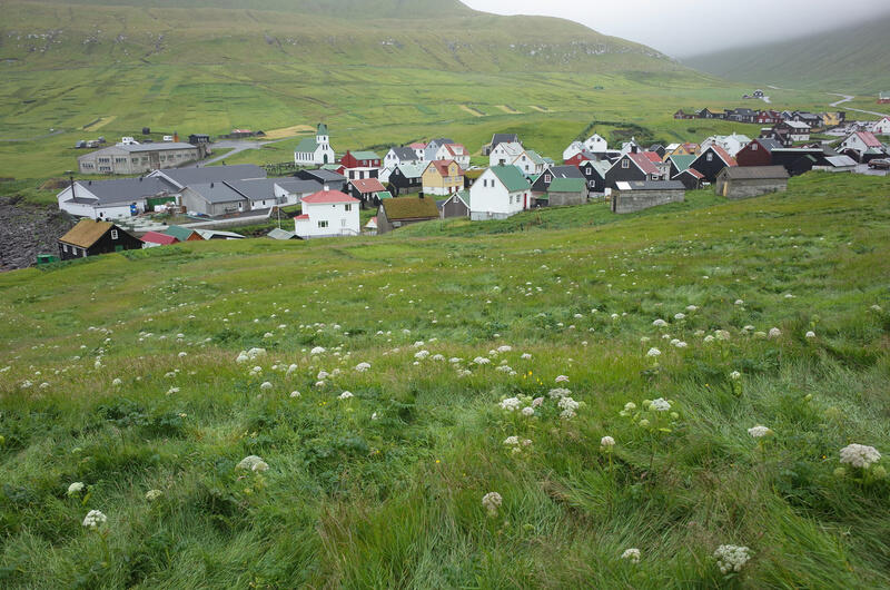 Overview of Gjógv, grassy field in the foreground