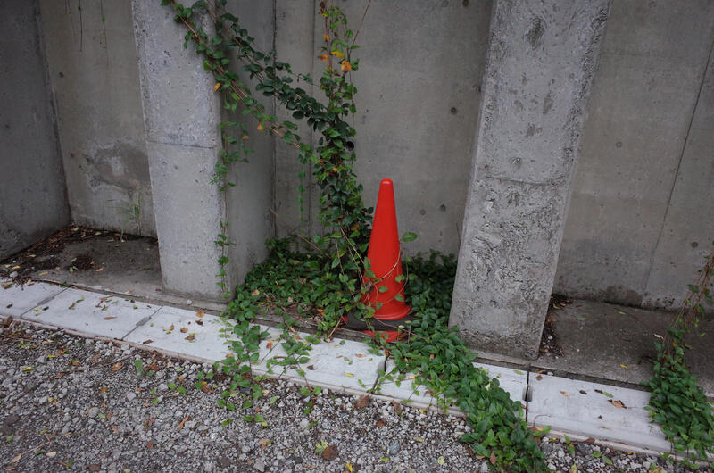 An orange cone surrounded by leaves with a concrete wall behind