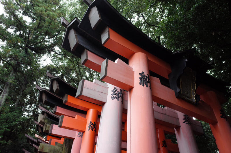 Red torii gates at Fushimi Inari Shrine