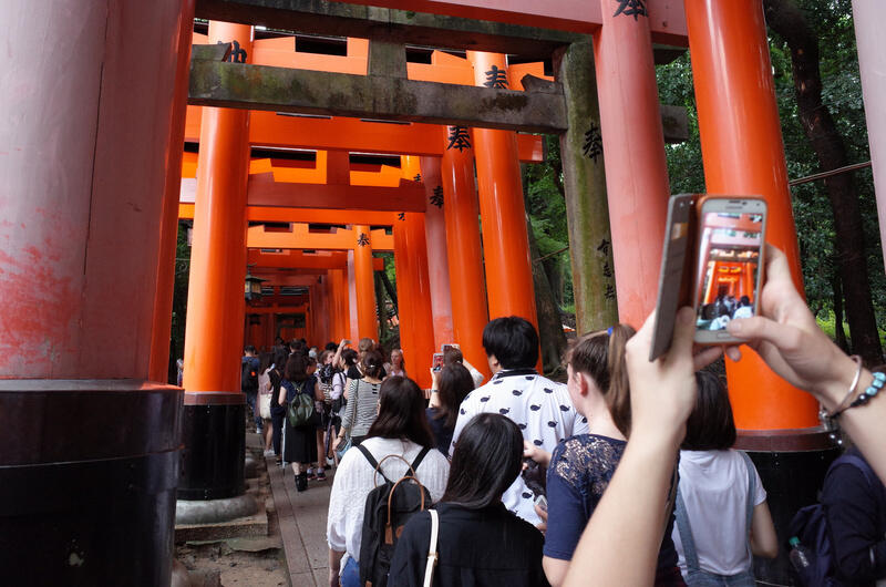 People walking through the torii gates