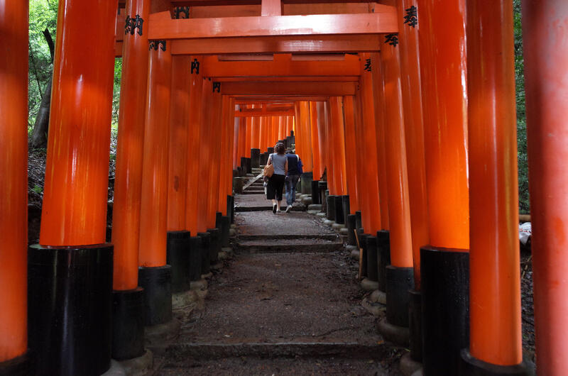Couple walking through red torii gates